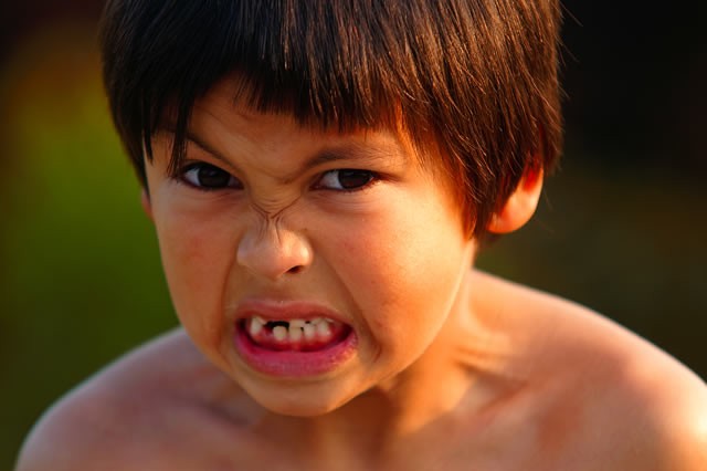 Imatge il·lustrativa