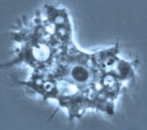 Imatge il·lustrativa