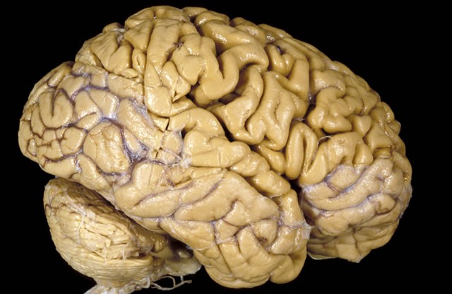 Imatge il·lustrativa